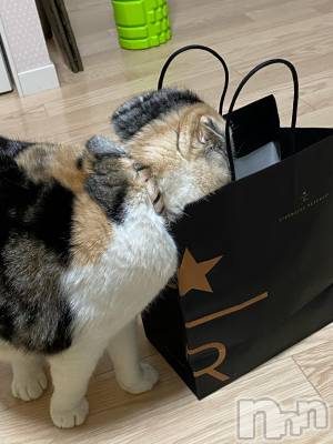 ��Ʋ����Х��顦����֥���ֲڲСݣȣ��Σ��£ɡ�(����֥ϥʥ�) �����1��13���̥�֥�����1��13�� 10��17ʬ�μ̥�֥�����