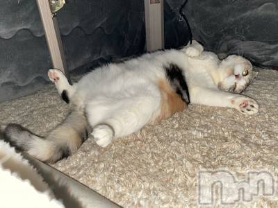 ��Ʋ����Х��顦����֥���ֲڲСݣȣ��Σ��£ɡ�(����֥ϥʥ�) �����2��5���̥�֥�����2��5�� 00��14ʬ�μ̥�֥�����