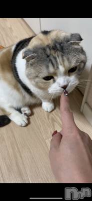 ��Ʋ����Х��顦����֥���ֲڲСݣȣ��Σ��£ɡ�(����֥ϥʥ�) �����2��19���̥�֥�����2��19�� 22��07ʬ�μ̥�֥�����