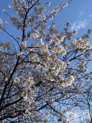 ��Ʋ����Х��顦����֥���ֲڲСݣȣ��Σ��£ɡ�(����֥ϥʥ�) �����2��23���̥�֥�����2��23�� 18��21ʬ�μ̥�֥�����