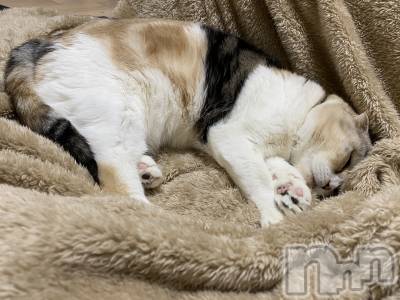 ��Ʋ����Х��顦����֥���ֲڲСݣȣ��Σ��£ɡ�(����֥ϥʥ�) �����2��24���̥�֥�����2��24�� 15��01ʬ�μ̥�֥�����