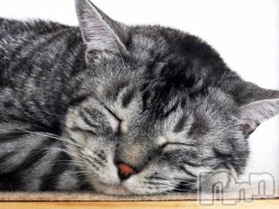 ��Ʋ����Х��顦����֥���ֲڲСݣȣ��Σ��£ɡ�(����֥ϥʥ�) �����2��25���̥�֥�����2��25�� 08��43ʬ�μ̥�֥�����