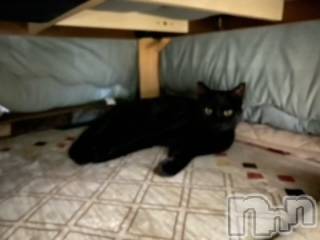 ��Ʋ����Х��顦����֥���ֲڲСݣȣ��Σ��£ɡ�(����֥ϥʥ�) �����3��11���̥�֥�����3��11�� 19��56ʬ�μ̥�֥�����