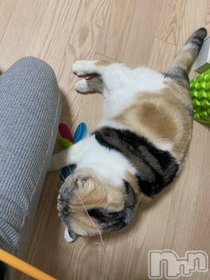 ��Ʋ����Х��顦����֥���ֲڲСݣȣ��Σ��£ɡ�(����֥ϥʥ�) �����3��14���̥�֥�����3��14�� 19��02ʬ�μ̥�֥�����