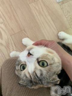 ��Ʋ����Х��顦����֥���ֲڲСݣȣ��Σ��£ɡ�(����֥ϥʥ�) �����3��24���̥�֥�����3��24�� 17��44ʬ�μ̥�֥�����