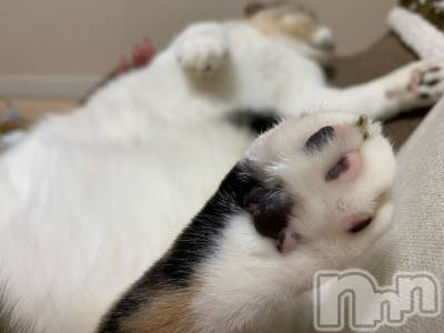 ��Ʋ����Х��顦����֥���ֲڲСݣȣ��Σ��£ɡ�(����֥ϥʥ�) �����3��28���̥�֥�����3��28�� 17��40ʬ�μ̥�֥�����