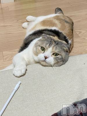 ��Ʋ����Х��顦����֥���ֲڲСݣȣ��Σ��£ɡ�(����֥ϥʥ�) �����3��30���̥�֥�����3��30�� 18��47ʬ�μ̥�֥�����