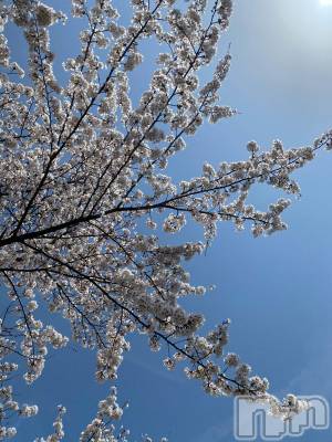 ��Ʋ����Х��顦����֥���ֲڲСݣȣ��Σ��£ɡ�(����֥ϥʥ�) �����4��2���̥�֥�����4��2�� 14��26ʬ�μ̥�֥�����