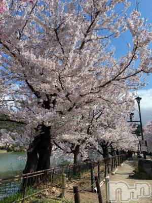 ��Ʋ����Х��顦����֥���ֲڲСݣȣ��Σ��£ɡ�(����֥ϥʥ�) �����4��5���̥�֥�����4��5�� 15��32ʬ�μ̥�֥�����