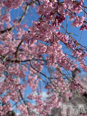 ��Ʋ����Х��顦����֥���ֲڲСݣȣ��Σ��£ɡ�(����֥ϥʥ�) �����4��6���̥�֥�����4��6�� 18��20ʬ�μ̥�֥�����