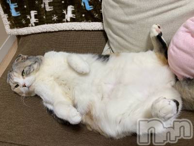 ��Ʋ����Х��顦����֥���ֲڲСݣȣ��Σ��£ɡ�(����֥ϥʥ�) �����4��7���̥�֥�����4��7�� 13��49ʬ�μ̥�֥�����