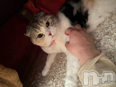 ��Ʋ����Х��顦����֥���ֲڲСݣȣ��Σ��£ɡ�(����֥ϥʥ�) �����4��13���̥�֥�����4��13�� 09��44ʬ�μ̥�֥�����