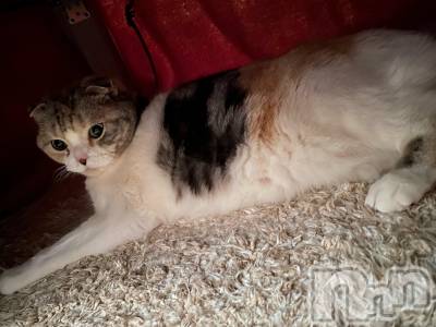 ��Ʋ����Х��顦����֥���ֲڲСݣȣ��Σ��£ɡ�(����֥ϥʥ�) �����4��14���̥�֥�����4��14�� 21��06ʬ�μ̥�֥�����