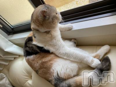 ��Ʋ����Х��顦����֥���ֲڲСݣȣ��Σ��£ɡ�(����֥ϥʥ�) �����4��20���̥�֥�����4��20�� 13��18ʬ�μ̥�֥�����