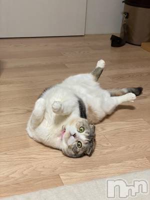 ��Ʋ����Х��顦����֥���ֲڲСݣȣ��Σ��£ɡ�(����֥ϥʥ�) �����4��23���̥�֥�����4��23�� 20��05ʬ�μ̥�֥�����