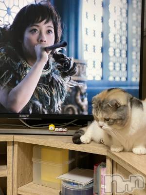 ��Ʋ����Х��顦����֥���ֲڲСݣȣ��Σ��£ɡ�(����֥ϥʥ�) �����5��3���̥�֥�����5��3�� 13��22ʬ�μ̥�֥�����