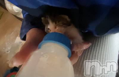 ��Ʋ����Х��顦����֥���ֲڲСݣȣ��Σ��£ɡ�(����֥ϥʥ�) �����5��9���̥�֥�����5��9�� 18��51ʬ�μ̥�֥�����