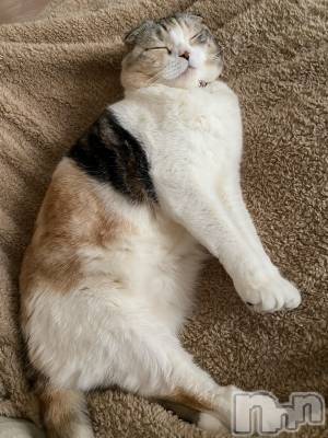 ��Ʋ����Х��顦����֥���ֲڲСݣȣ��Σ��£ɡ�(����֥ϥʥ�) �����5��13���̥�֥�����5��13�� 17��24ʬ�μ̥�֥�����