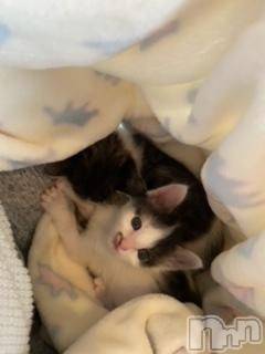 ��Ʋ����Х��顦����֥���ֲڲСݣȣ��Σ��£ɡ�(����֥ϥʥ�) �����5��24���̥�֥�����5��24�� 19��01ʬ�μ̥�֥�����