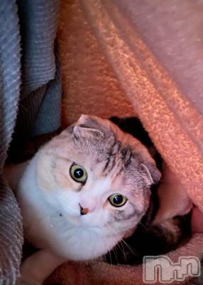 ��Ʋ����Х��顦����֥���ֲڲСݣȣ��Σ��£ɡ�(����֥ϥʥ�) �����5��28���̥�֥�����5��28�� 15��35ʬ�μ̥�֥�����