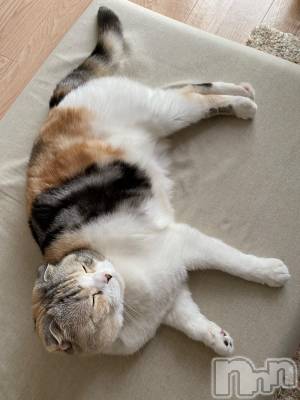 ��Ʋ����Х��顦����֥���ֲڲСݣȣ��Σ��£ɡ�(����֥ϥʥ�) �����6��2���̥�֥�����6��2�� 23��23ʬ�μ̥�֥�����