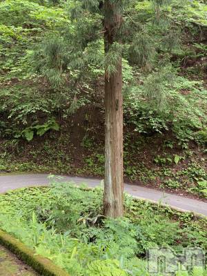 ��Ʋ����Х��顦����֥���ֲڲСݣȣ��Σ��£ɡ�(����֥ϥʥ�) �����6��6���̥�֥�����6��6�� 20��00ʬ�μ̥�֥�����