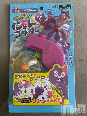 ��Ʋ����Х��顦����֥���ֲڲСݣȣ��Σ��£ɡ�(����֥ϥʥ�) �����6��19���̥�֥�����6��19�� 17��38ʬ�μ̥�֥�����