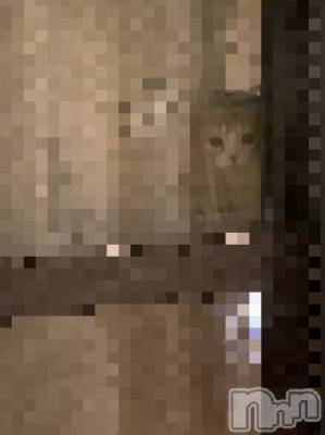 ��Ʋ����Х��顦����֥���ֲڲСݣȣ��Σ��£ɡ�(����֥ϥʥ�) �����7��5���̥�֥�����7��5�� 00��37ʬ�μ̥�֥�����