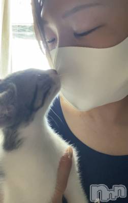 ��Ʋ����Х��顦����֥���ֲڲСݣȣ��Σ��£ɡ�(����֥ϥʥ�) �����7��7���̥�֥�����7��7�� 19��34ʬ�μ̥�֥�����