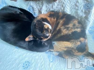 ��Ʋ����Х��顦����֥���ֲڲСݣȣ��Σ��£ɡ�(����֥ϥʥ�) �����7��15���̥�֥�����7��15�� 21��40ʬ�μ̥�֥�����