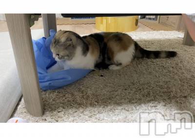 ��Ʋ����Х��顦����֥���ֲڲСݣȣ��Σ��£ɡ�(����֥ϥʥ�) �����7��30���̥�֥�����7��30�� 21��03ʬ�μ̥�֥�����