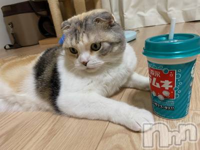 ��Ʋ����Х��顦����֥���ֲڲСݣȣ��Σ��£ɡ�(����֥ϥʥ�) �����8��1���̥�֥�����8��1�� 20��33ʬ�μ̥�֥�����