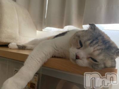 ��Ʋ����Х��顦����֥���ֲڲСݣȣ��Σ��£ɡ�(����֥ϥʥ�) �����8��11���̥�֥�����8��11�� 13��54ʬ�μ̥�֥�����