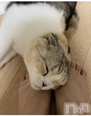 ��Ʋ����Х��顦����֥���ֲڲСݣȣ��Σ��£ɡ�(����֥ϥʥ�) �����8��12���̥�֥�����8��12�� 19��49ʬ�μ̥�֥�����