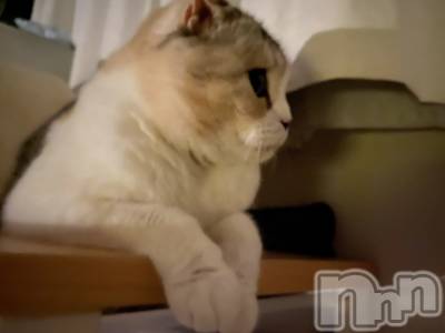 ��Ʋ����Х��顦����֥���ֲڲСݣȣ��Σ��£ɡ�(����֥ϥʥ�) �����8��20���̥�֥�����8��20�� 20��59ʬ�μ̥�֥�����