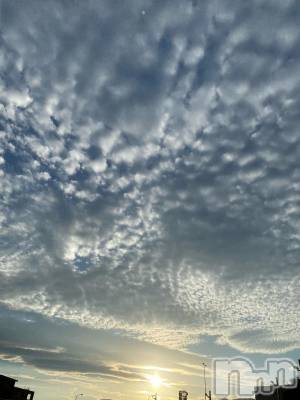 ��Ʋ����Х��顦����֥���ֲڲСݣȣ��Σ��£ɡ�(����֥ϥʥ�) �����8��23���̥�֥�����8��23�� 17��50ʬ�μ̥�֥�����