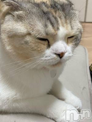 ��Ʋ����Х��顦����֥���ֲڲСݣȣ��Σ��£ɡ�(����֥ϥʥ�) �����8��29���̥�֥�����8��29�� 02��57ʬ�μ̥�֥�����