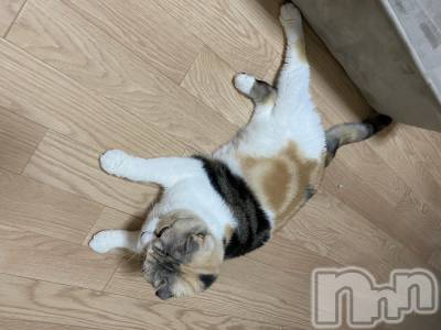 ��Ʋ����Х��顦����֥���ֲڲСݣȣ��Σ��£ɡ�(����֥ϥʥ�) �����9��1���̥�֥�����9��1�� 22��34ʬ�μ̥�֥�����