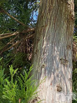 ��Ʋ����Х��顦����֥���ֲڲСݣȣ��Σ��£ɡ�(����֥ϥʥ�) �����9��7���̥�֥�����9��7�� 22��49ʬ�μ̥�֥�����