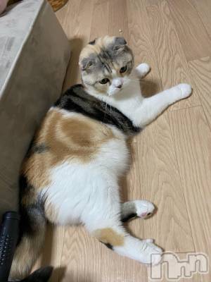 ��Ʋ����Х��顦����֥���ֲڲСݣȣ��Σ��£ɡ�(����֥ϥʥ�) �����9��9���̥�֥�����9��9�� 22��27ʬ�μ̥�֥�����