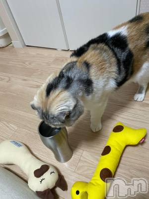 ��Ʋ����Х��顦����֥���ֲڲСݣȣ��Σ��£ɡ�(����֥ϥʥ�) �����9��18���̥�֥�����9��18�� 20��52ʬ�μ̥�֥�����