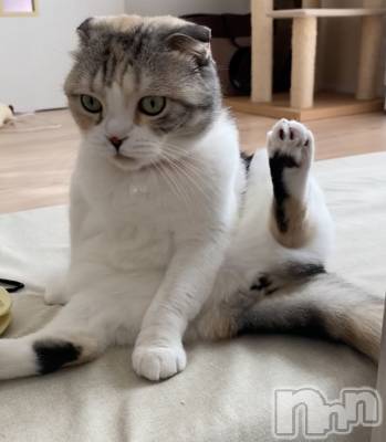 ��Ʋ����Х��顦����֥���ֲڲСݣȣ��Σ��£ɡ�(����֥ϥʥ�) �����9��28���̥�֥�����9��28�� 20��00ʬ�μ̥�֥�����