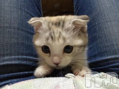 ��Ʋ����Х��顦����֥���ֲڲСݣȣ��Σ��£ɡ�(����֥ϥʥ�) �����10��7���̥�֥�����10��7�� 19��20ʬ�μ̥�֥�����