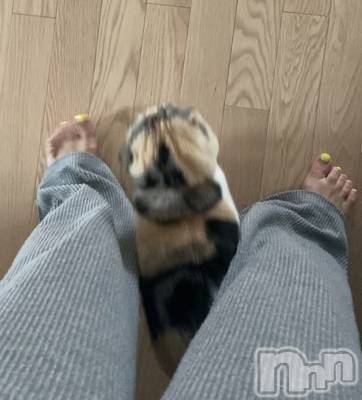 ��Ʋ����Х��顦����֥���ֲڲСݣȣ��Σ��£ɡ�(����֥ϥʥ�) �����10��26���̥�֥�����10��26�� 10��50ʬ�μ̥�֥�����