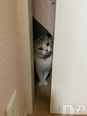 ��Ʋ����Х��顦����֥���ֲڲСݣȣ��Σ��£ɡ�(����֥ϥʥ�) �����11��1���̥�֥�����11��1�� 19��27ʬ�μ̥�֥�����