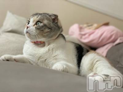 ��Ʋ����Х��顦����֥���ֲڲСݣȣ��Σ��£ɡ�(����֥ϥʥ�) �����11��14���̥�֥�����11��14�� 21��02ʬ�μ̥�֥�����