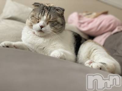 ��Ʋ����Х��顦����֥���ֲڲСݣȣ��Σ��£ɡ�(����֥ϥʥ�) �����11��24���̥�֥�����11��24�� 21��38ʬ�μ̥�֥�����