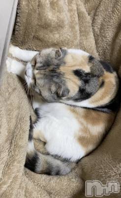 ��Ʋ����Х��顦����֥���ֲڲСݣȣ��Σ��£ɡ�(����֥ϥʥ�) �����1��7���̥�֥�����1��7�� 20��05ʬ�μ̥�֥�����