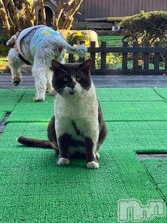 ��Ʋ����Х��顦����֥���ֲڲСݣȣ��Σ��£ɡ�(����֥ϥʥ�) �����2��19���̥�֥�����2��19�� 18��54ʬ�μ̥�֥�����