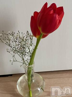 ��Ʋ����Х��顦����֥���ֲڲСݣȣ��Σ��£ɡ�(����֥ϥʥ�) �����2��20���̥�֥�����2��20�� 20��47ʬ�μ̥�֥�����